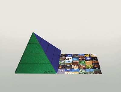 먹이사슬 피라미드